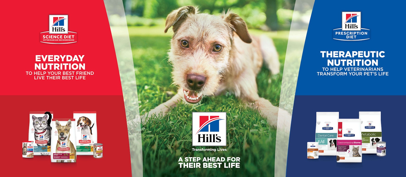 Hills to home banner Hills to home banner