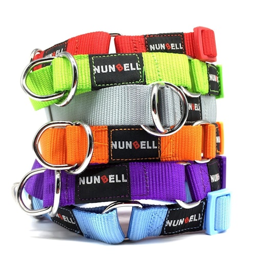 DOG TRAINING CHOKER Collar Martingale Adjustable Lead 2.5cm Width Strong image number null
