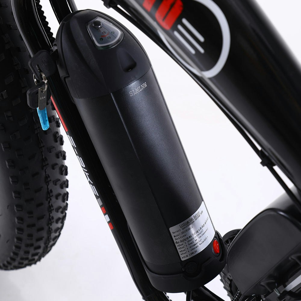 ROKETTO 350W 36V SHARK Electric Bike Beach eBike Snow Motorized Bicycle