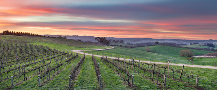 cellarspace-adelaide-hills-blog-img3-png