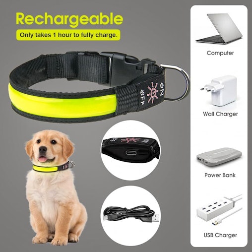 LED Dog Cat Collar USB Rechargeable Nylon Glow Flashing Light Up Safety Puppy LED Dog Cat Collar USB Rechargeable Nylon Glow Flashing Light Up Safety Puppy