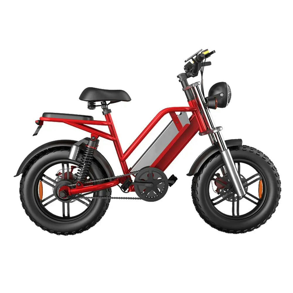 AKEZ D70 48V 750W 20Ah 20*4 inches Electric bike Rekote Alarm