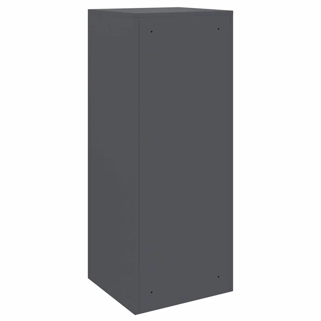 Parcel Drop Box with Storage Anthracite 41 x 38 x 103 cm Steel 874935