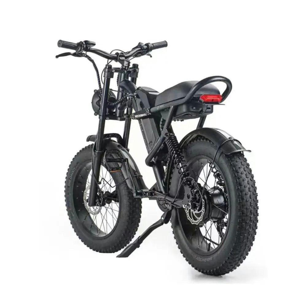 AKEZ 500W 48V 20 Inches Fat Tire Electric Bike Large Capacity Removable Battery - Black