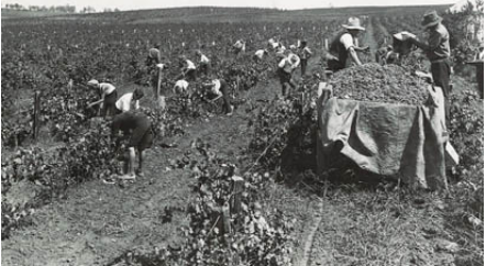 penfolds-images2-png