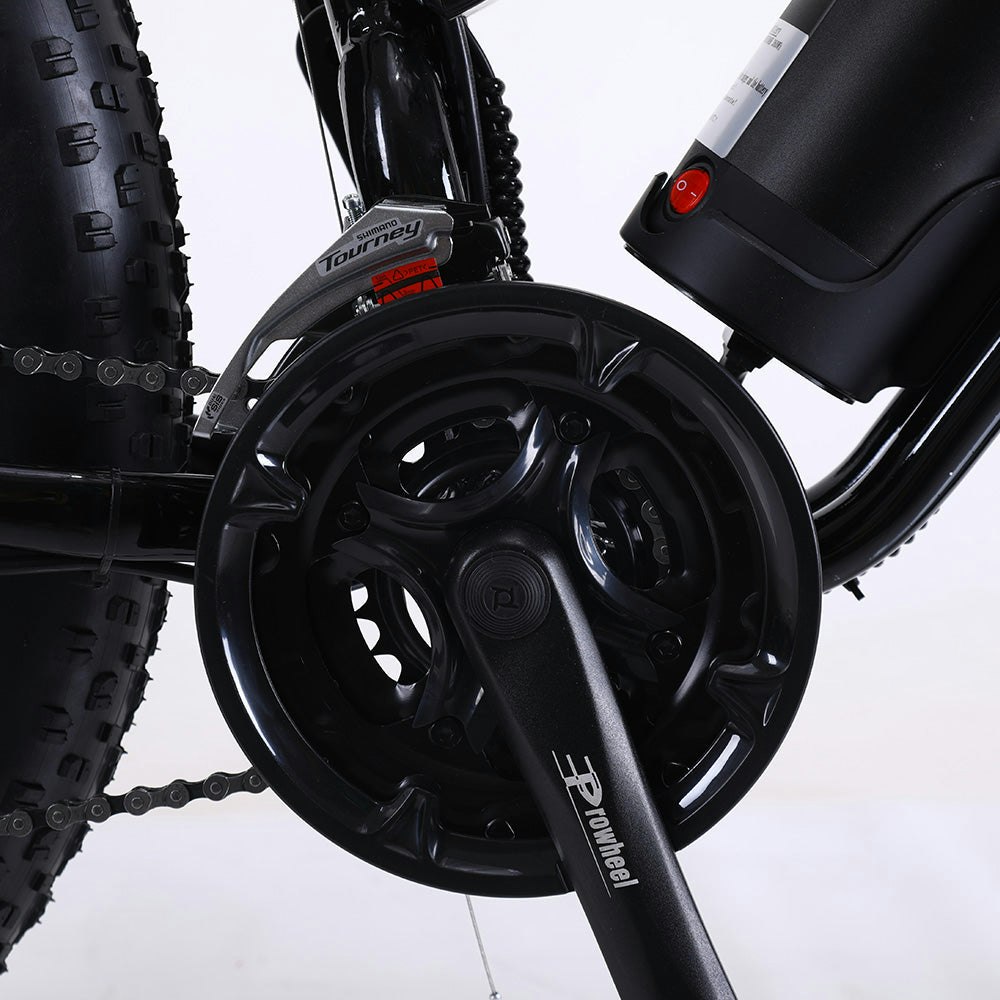 ROKETTO 350W 36V SHARK Electric Bike Beach eBike Snow Motorized Bicycle