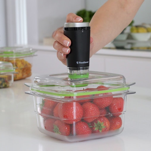 Foodsaver Handheld Vacuum Food Fruits Vegetable Sealer Cordless Kitchen Machine Foodsaver Handheld Vacuum Food Fruits Vegetable Sealer Cordless Kitchen Machine