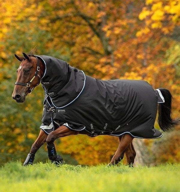 amigo-bravo-turnout-rug-jpg