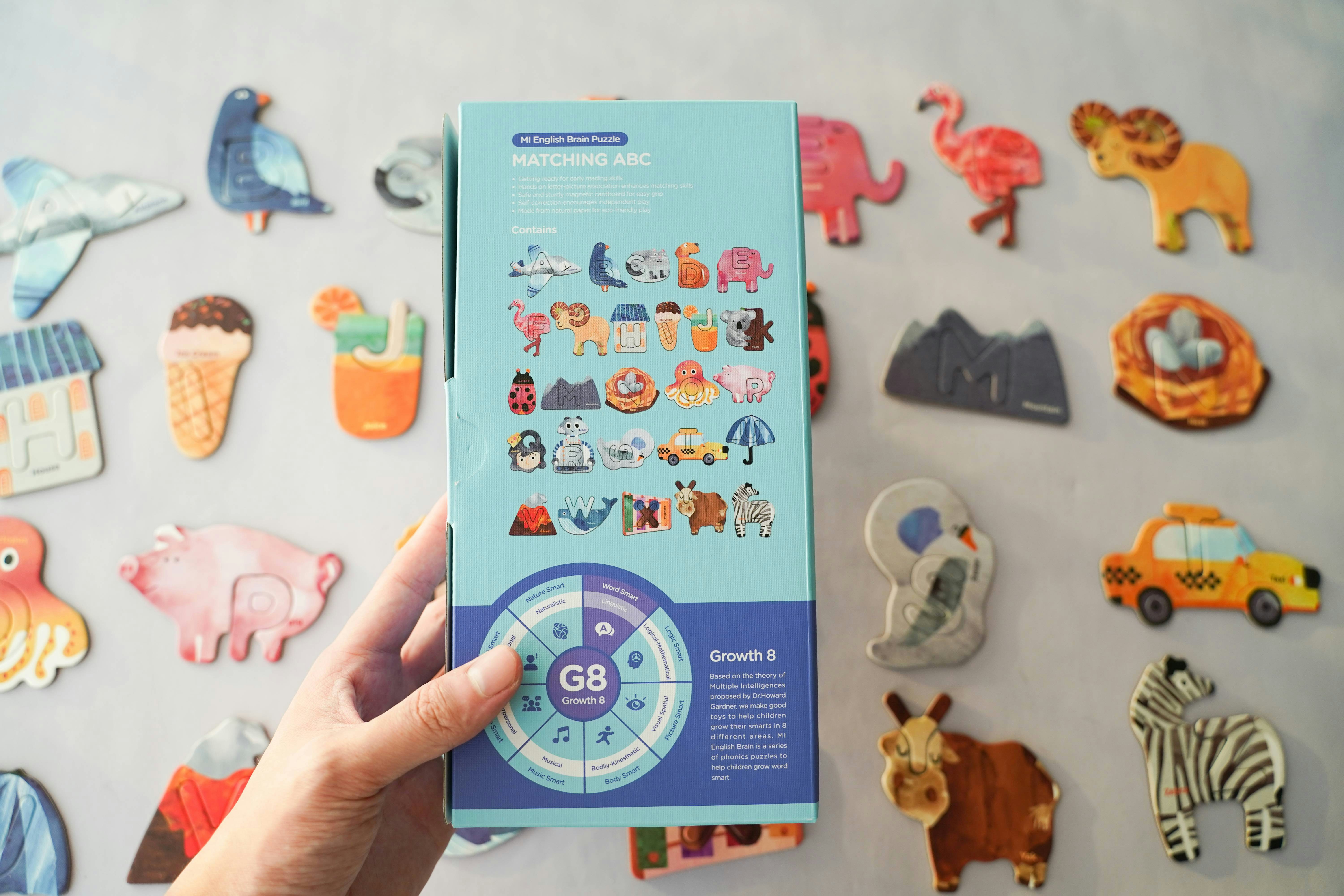 MI English brain Matching ABC Magnetic Puzzle