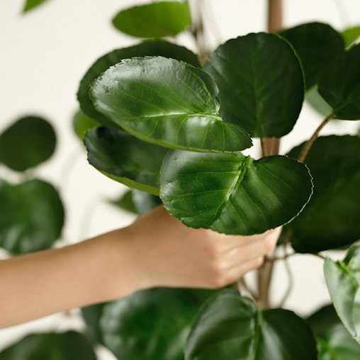 SOGA 4X 180cm Green Artificial Indoor Pocket Money Tree Fake Plant Simulation Decorative SOGA 4X 180cm Green Artificial Indoor Pocket Money Tree Fake Plant Simulation Decorative