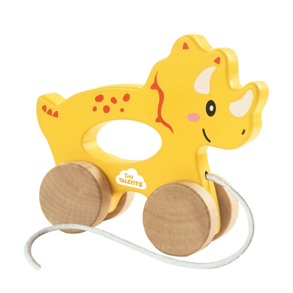 SES Creative Push And Pull 2 In 1 Wooden Triceratops