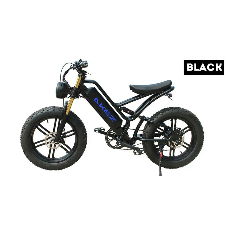 AKEZ OSP 750W 48V 17.5Ah 20x4.0 Inches Electric Bike 7 Speeds Snow E-bike