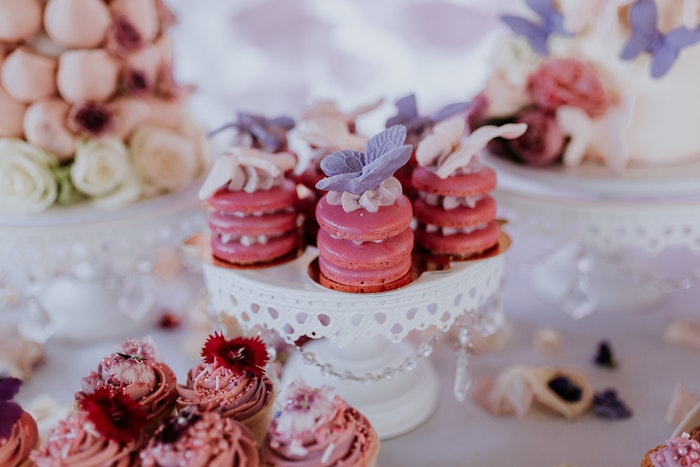 butterfly-birthday-party-ideas-lenzo36-jpg