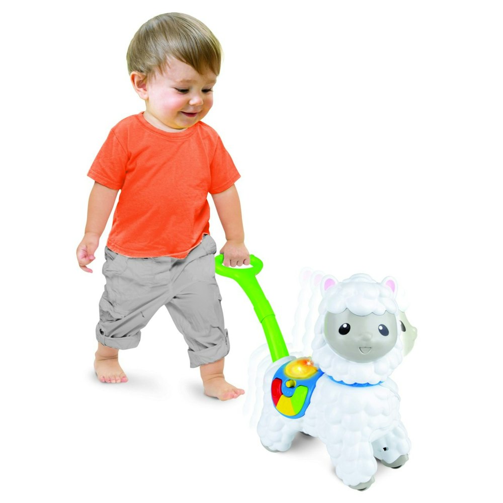 Winfun Push-along Little Alpaca