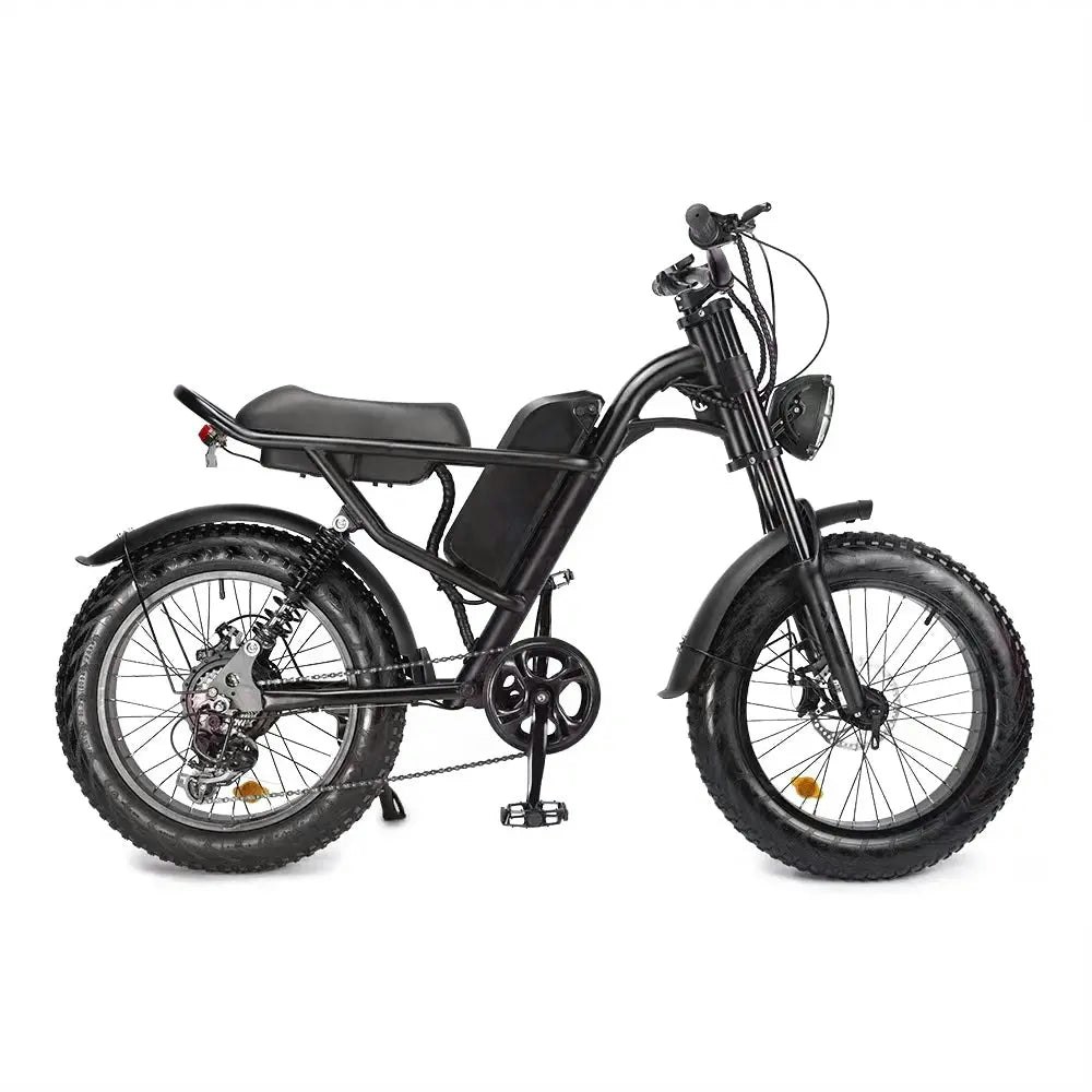 AKEZ 500W 48V 20 Inches Fat Tire Electric Bike Large Capacity Removable Battery - Black