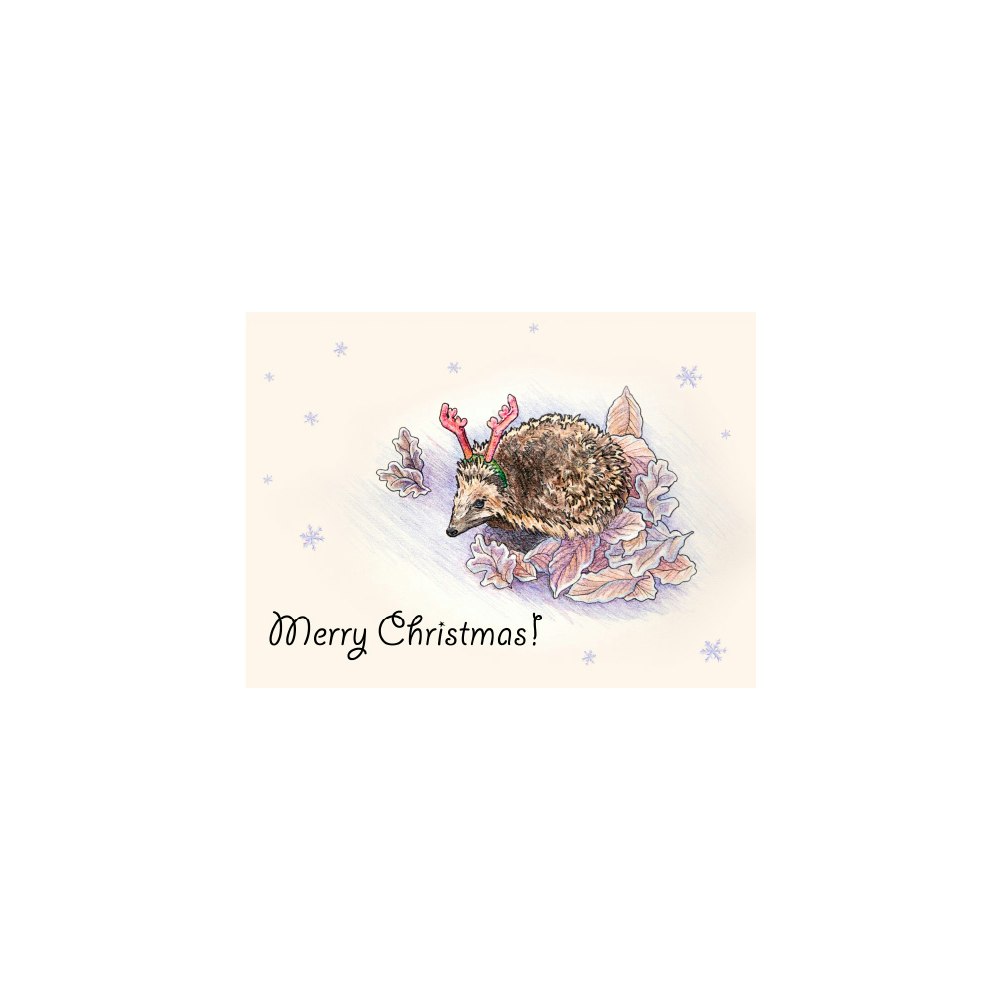 Lois Rose Fine Art & Photography Christmas Hedgehog With Antler Headband -- Pencil Drawing 7"x5" Art Greetings Card