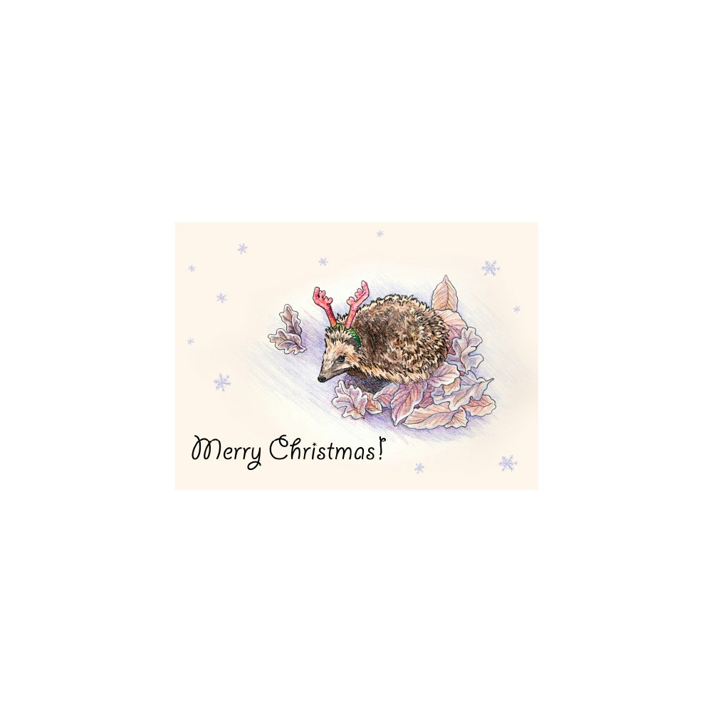 Lois Rose Fine Art & Photography Christmas Hedgehog With Antler Headband -- Pencil Drawing 7"x5" Art Greetings Card 