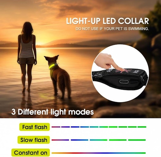 LED Dog Cat Collar USB Rechargeable Nylon Glow Flashing Light Up Safety Puppy LED Dog Cat Collar USB Rechargeable Nylon Glow Flashing Light Up Safety Puppy