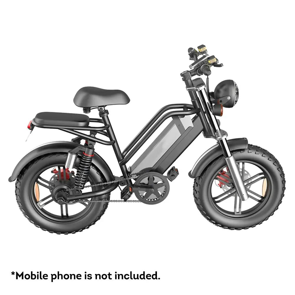 AKEZ D70 48V 750W 20Ah 20*4 inches Electric bike Rekote Alarm