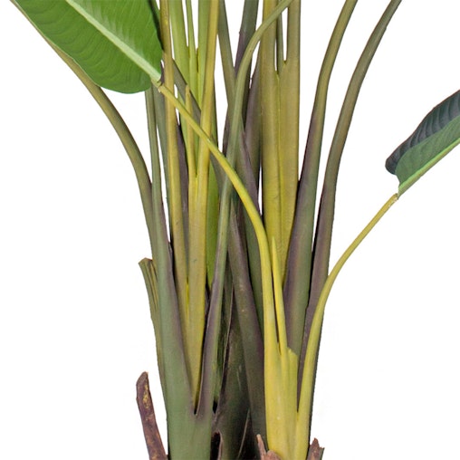 SOGA 4X 220cm Artificial Giant Green Birds of Paradise Tree Fake Tropical Indoor Plant Home Office Decor SOGA 4X 220cm Artificial Giant Green Birds of Paradise Tree Fake Tropical Indoor Plant Home Office Decor