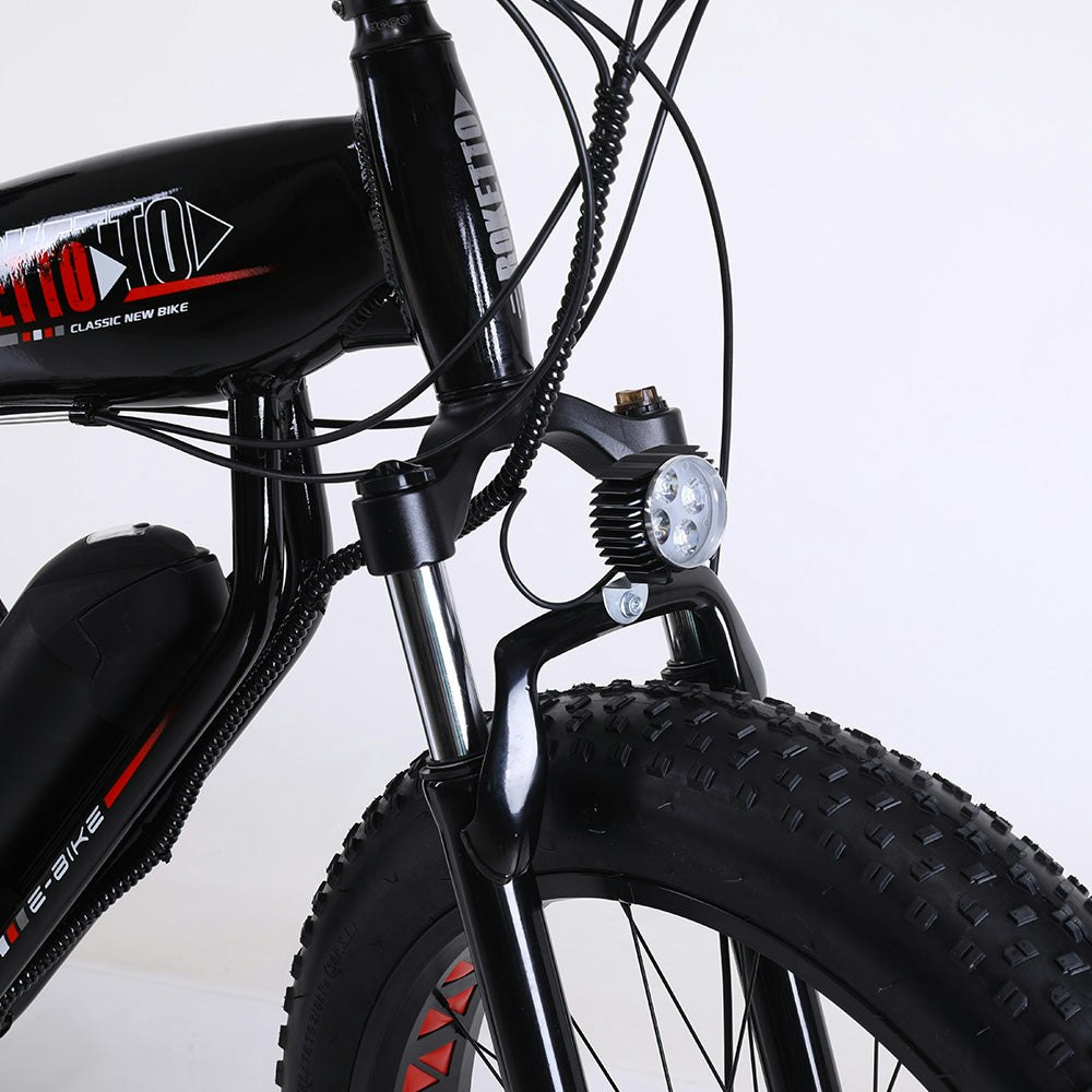 ROKETTO 350W 36V SHARK Electric Bike Beach eBike Snow Motorized Bicycle