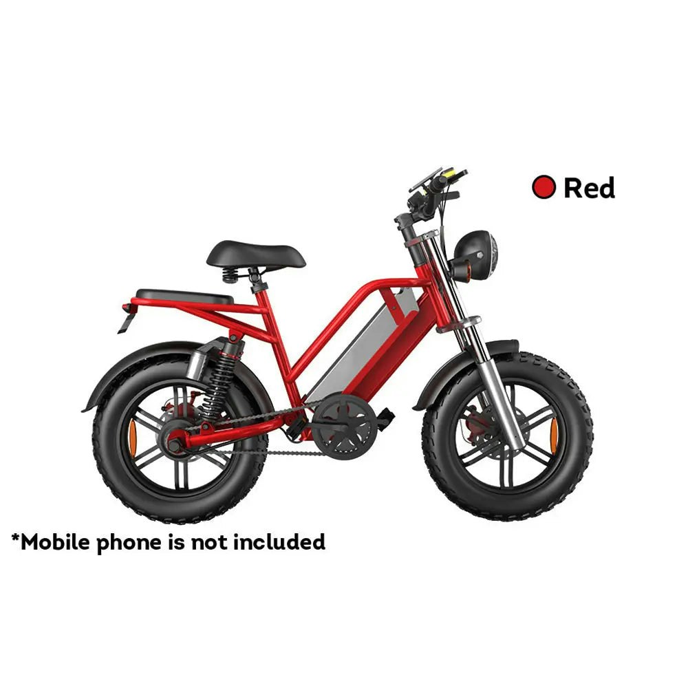 AKEZ D70 48V 750W 20Ah 20*4 inches Electric bike Rekote Alarm