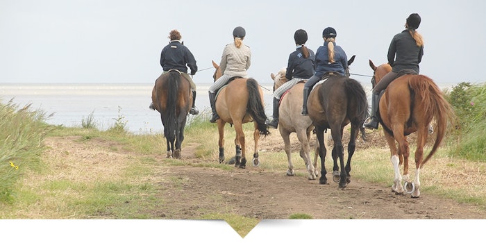 horse-riding-jpg
