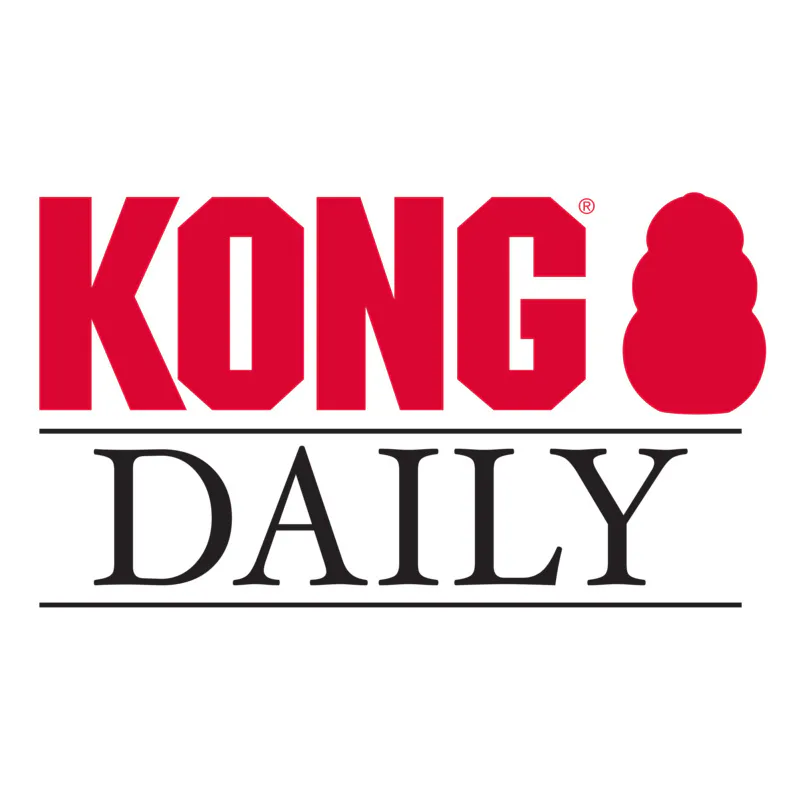 KONG Dog Daily Toy XL