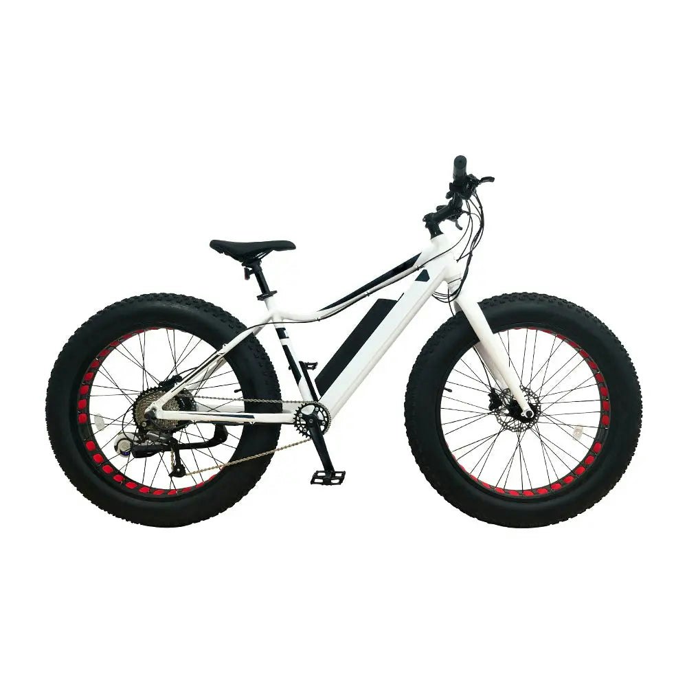 PROMARKE 26-inch FAT Ebike EX9 500W 48V 14.0AH