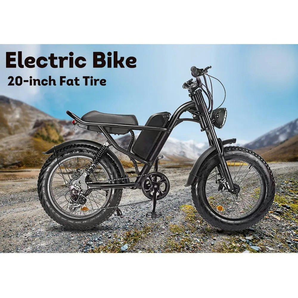 AKEZ 500W 48V 20 Inches Fat Tire Electric Bike Large Capacity Removable Battery - Black