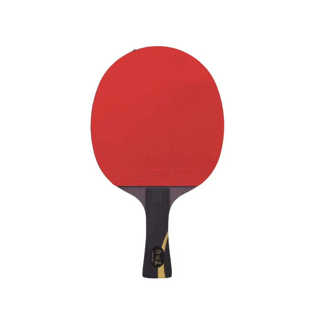 DHS HURRICANE PRO Table Tennis Racket/ Ping Pong Racket Paddle
