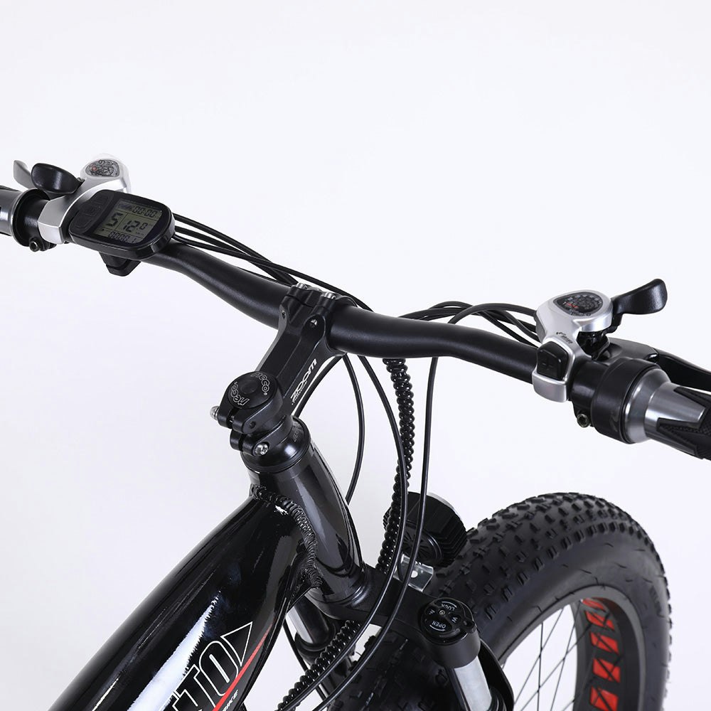 ROKETTO 350W 36V SHARK Electric Bike Beach eBike Snow Motorized Bicycle