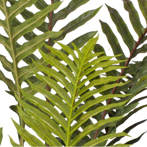 SOGA 4X 240cm Artificial Green Rogue Hares Foot Fern Tree Fake Tropical Indoor Plant Home Office Decor SOGA 4X 240cm Artificial Green Rogue Hares Foot Fern Tree Fake Tropical Indoor Plant Home Office Decor