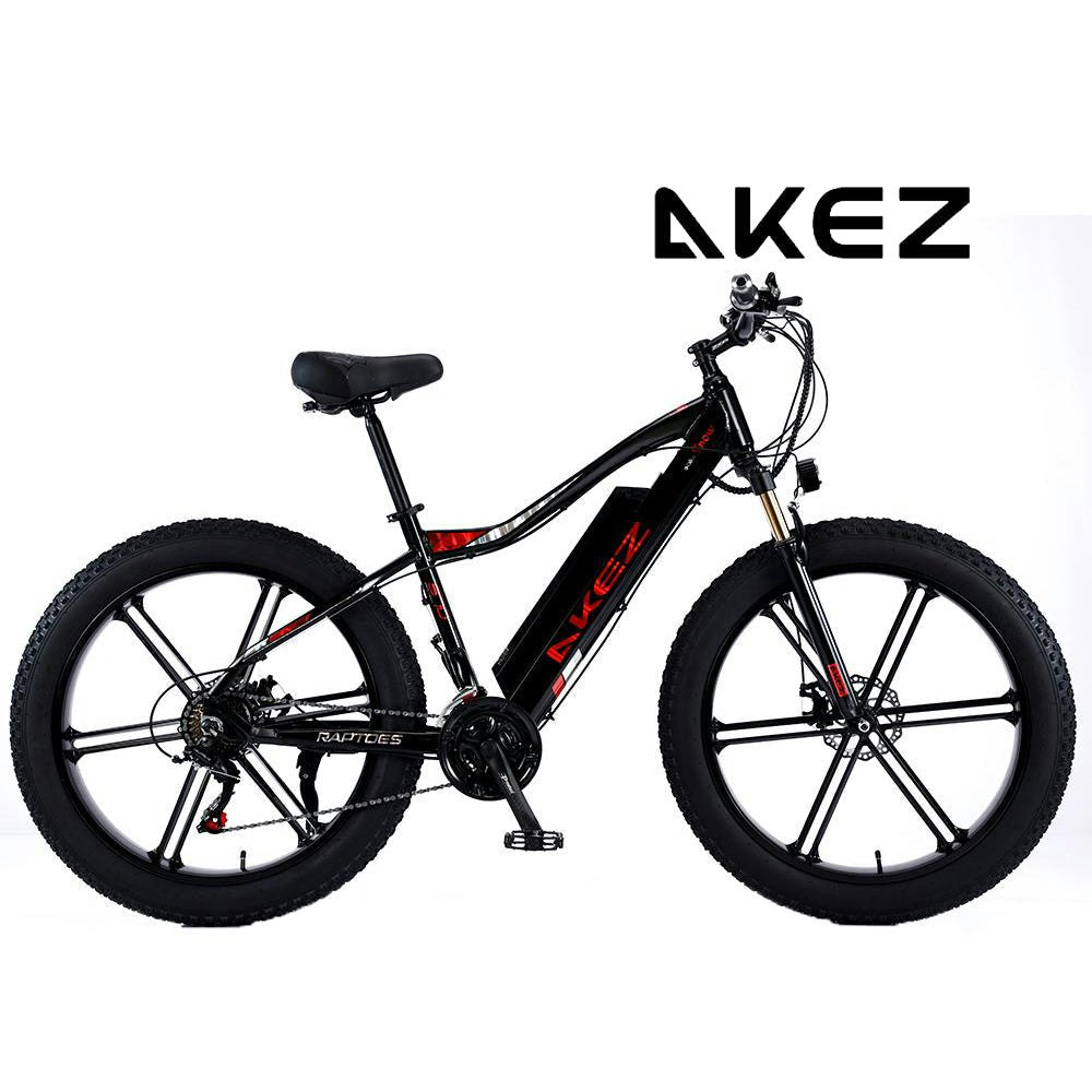 AKEZ 750W 48V ML1P Snow Bicycle 26 inches Beach Electric Bike Motorized eBike Battery