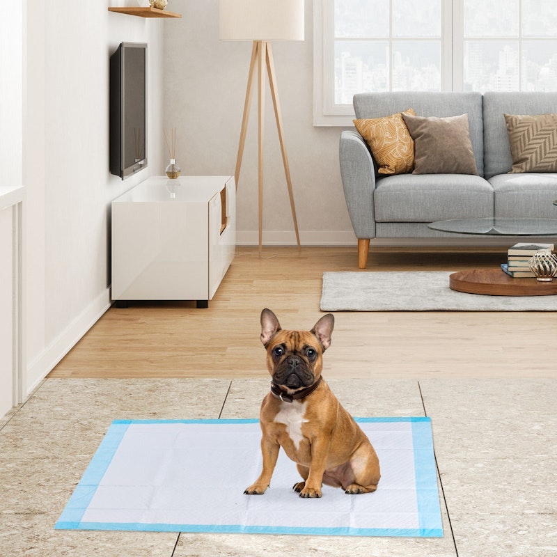 NNECW 150 Pieces Training Puppy Pee Pads with Super Absorbent for Doggies image number null