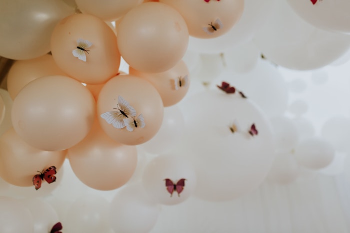 butterfly-birthday-party-ideas-lenzo22-jpg