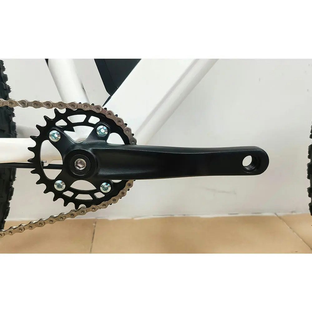 PROMARKE 26-inch FAT Ebike EX9 500W 48V 14.0AH
