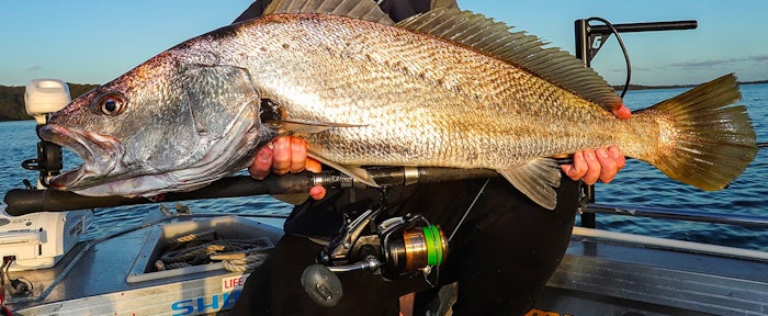 Baitrunner D Series Reel