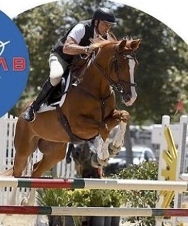 Supernova B - CH/AA dream horse! - Equivont