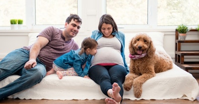 Don't forget your pet!