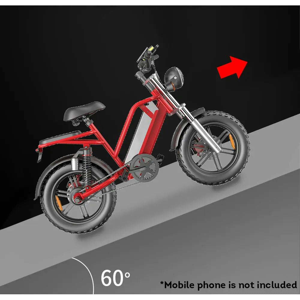 AKEZ D70 48V 750W 20Ah 20*4 inches Electric bike Rekote Alarm