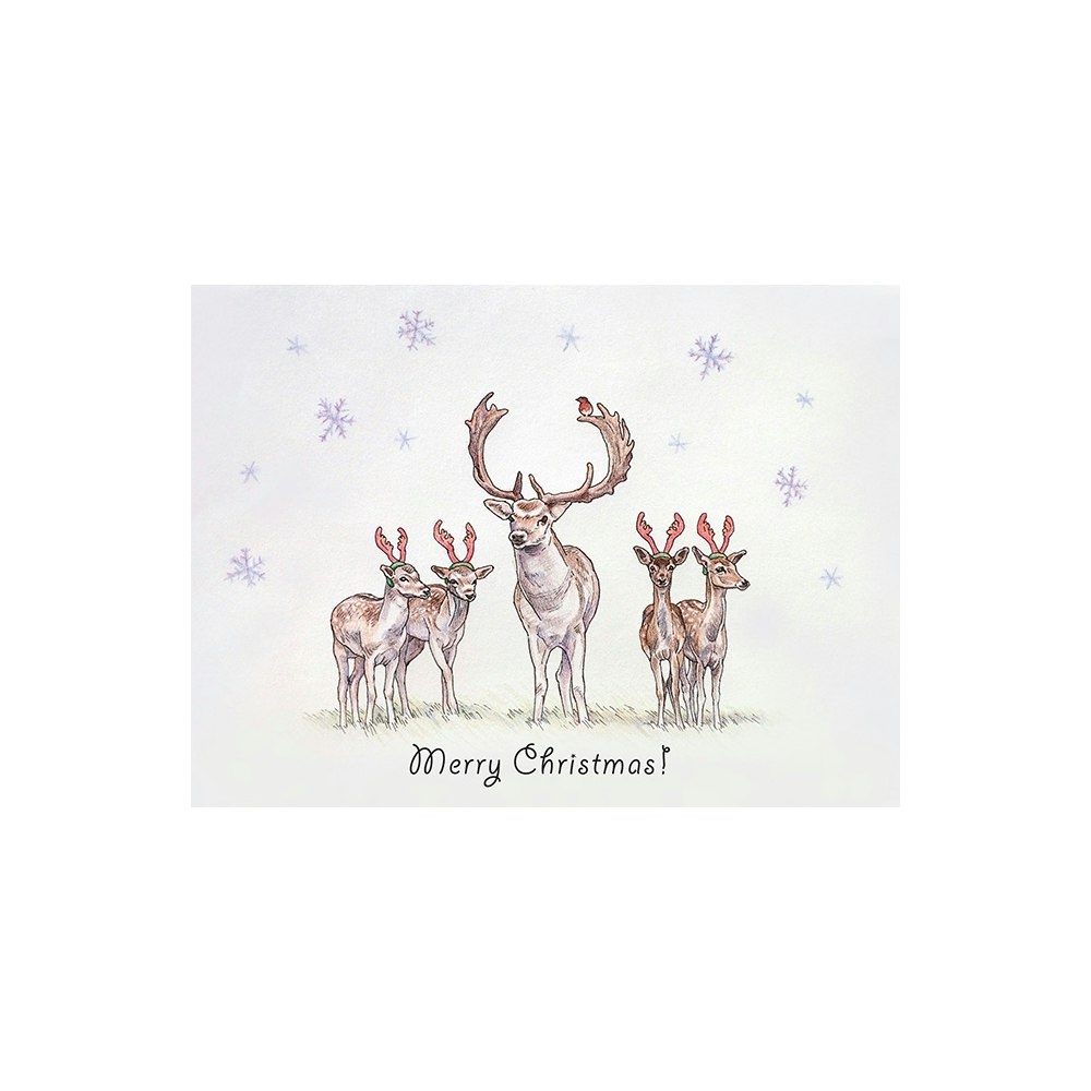 Lois Rose Fine Art & Photography Christmas Card Deer -- Pencil Drawing 7"x5" Art Greetings Card 