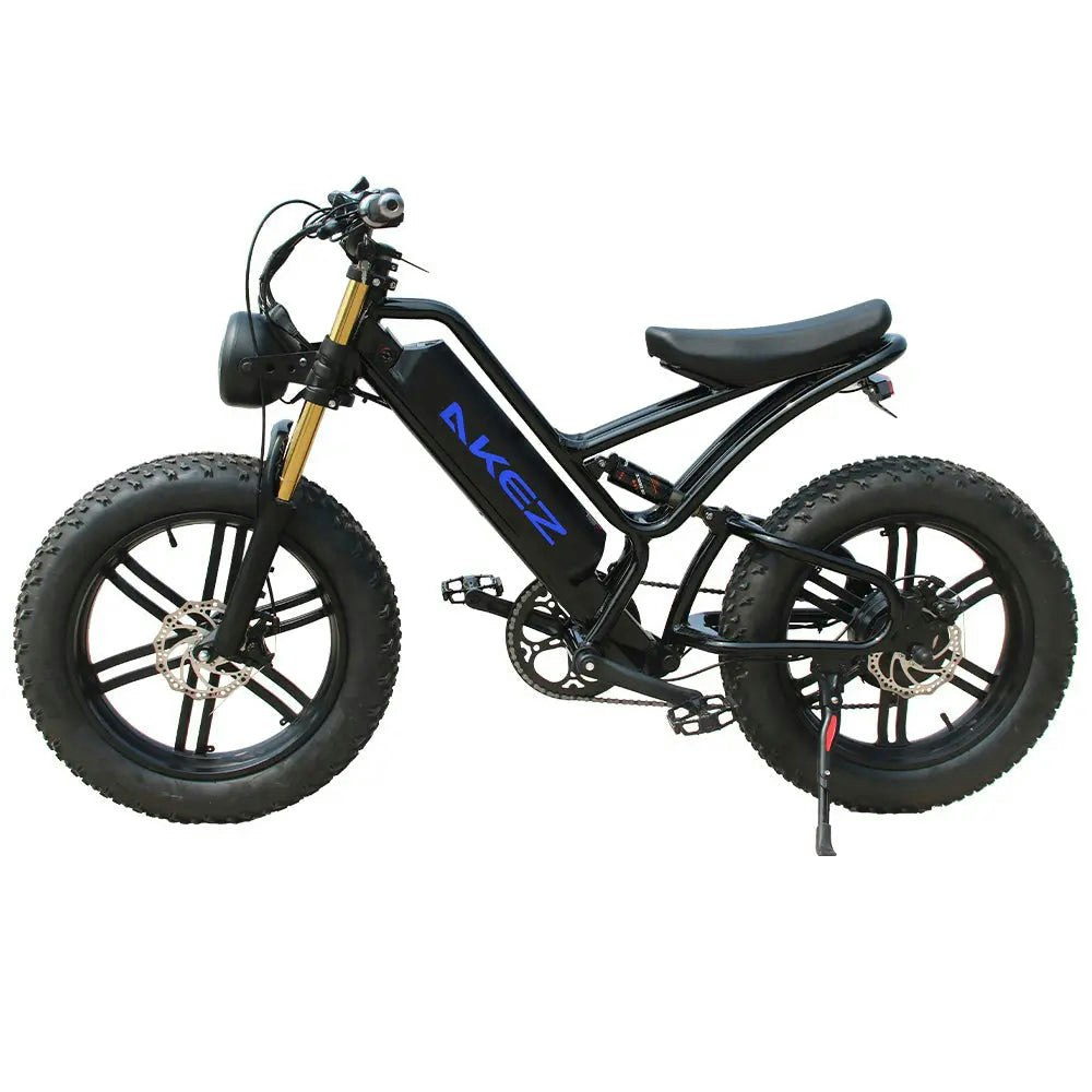 AKEZ OSP 750W 48V 17.5Ah 20x4.0 Inches Electric Bike 7 Speeds Snow E-bike