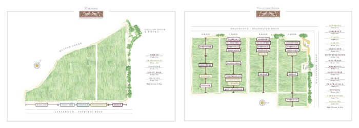 vineyard-plan-jpg