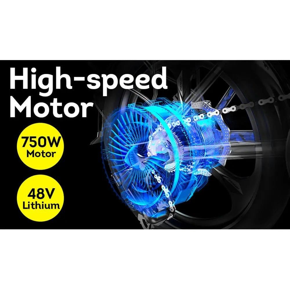 AKEZ OSP 750W 48V 17.5Ah 20x4.0 Inches Electric Bike 7 Speeds Snow E-bike