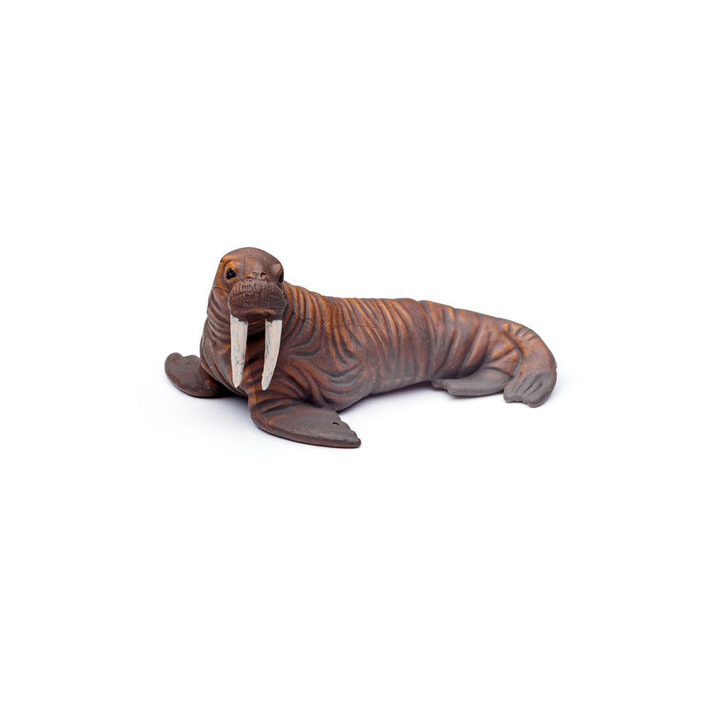 CollectA Collecta Box Of Mini Sea Animals Jarrolds, Norwich