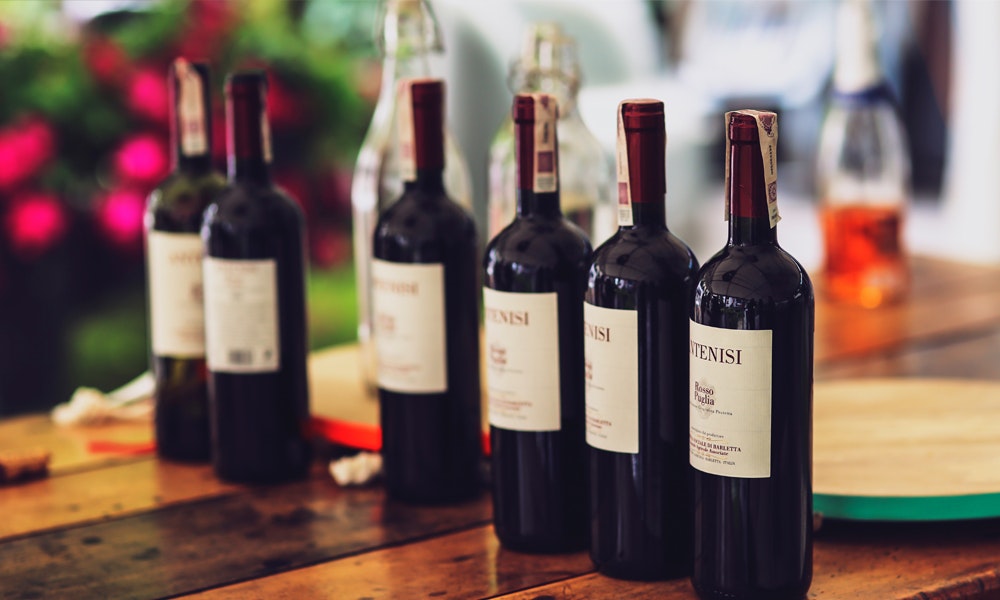 myer-maket-wine-fridge-buying-guide-bottles-row-red-jpg