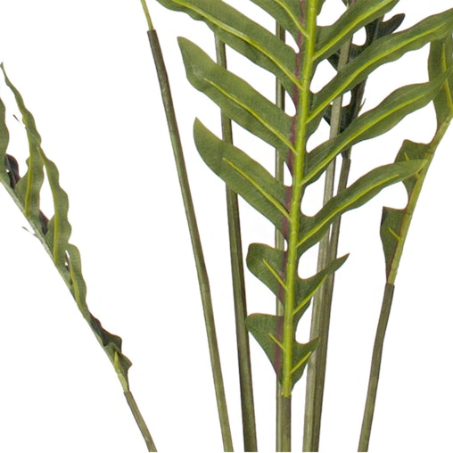 SOGA 4X 240cm Artificial Green Rogue Hares Foot Fern Tree Fake Tropical Indoor Plant Home Office Decor SOGA 4X 240cm Artificial Green Rogue Hares Foot Fern Tree Fake Tropical Indoor Plant Home Office Decor
