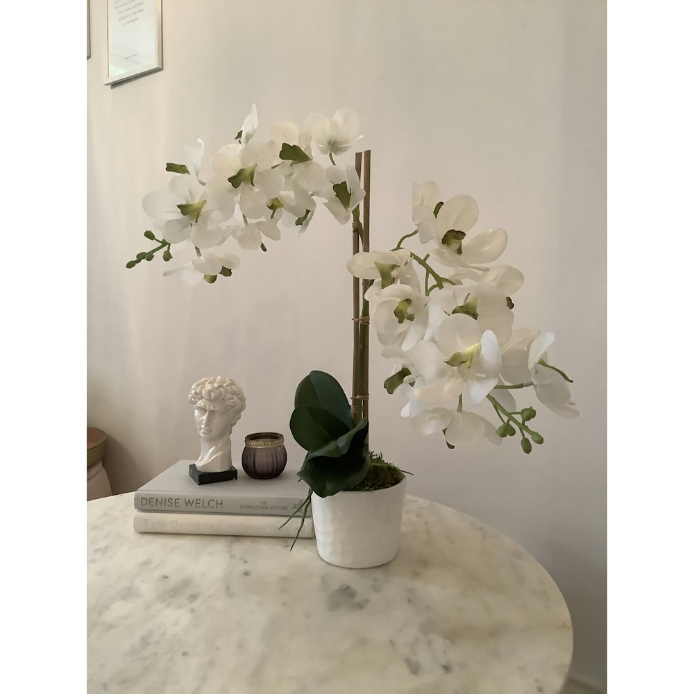 Peacock and Pink Faux Double Stem White Ascocenda Orchid Flower Arrangement.
