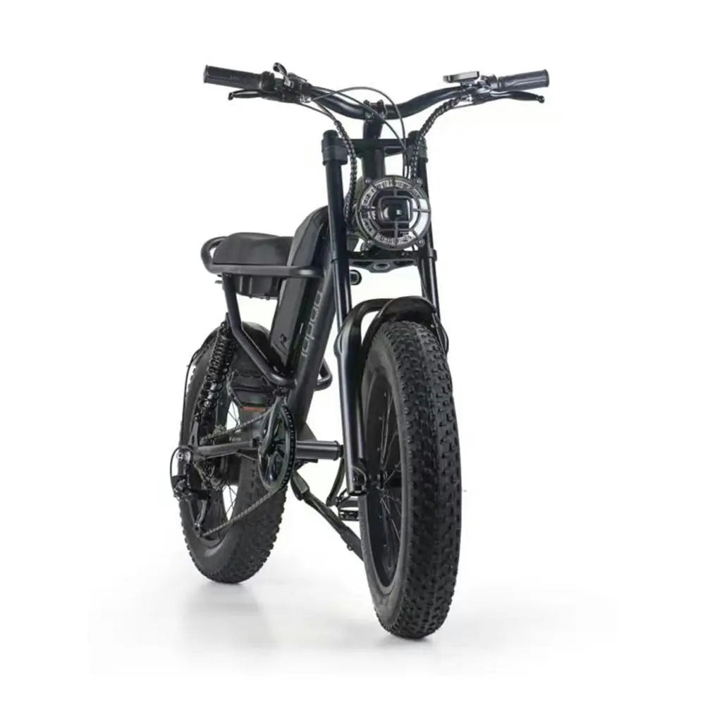 AKEZ 500W 48V 20 Inches Fat Tire Electric Bike Large Capacity Removable Battery - Black